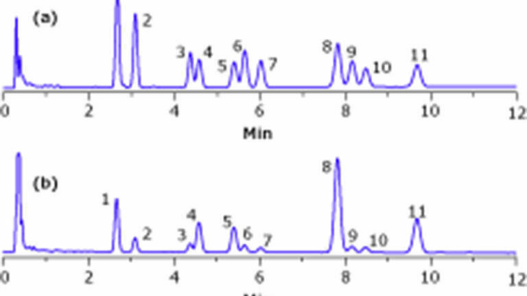 Analysis of Active Cannabis Compounds in Edible Food Products: Gummy Bears and Brownies